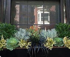 Création d&rsquo;un Coin Jardin d&rsquo;Hiver : Votre Balcon Hivernal Prêt à Affronter le Froid