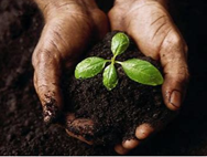 Comment Faire son Propre Compost en Appartement