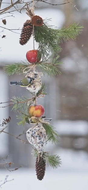 Boules de Nourriture pour Oiseaux