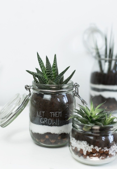 Jardins d’Intérieur en Bocaux en Verre :